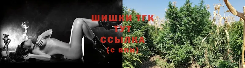 купить закладку  Усть-Джегута  МАРИХУАНА SATIVA & INDICA 